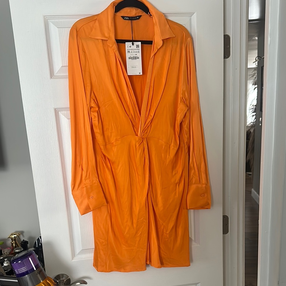 BNWT Zara Dress